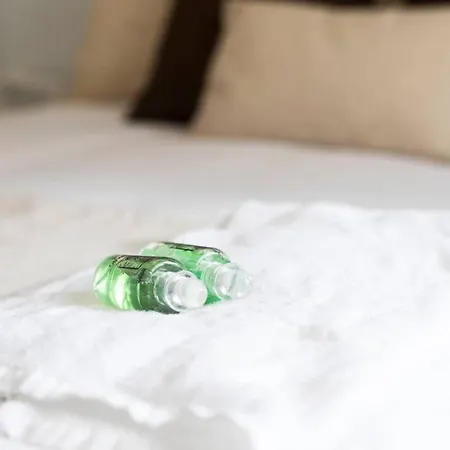 Apartman Butron - Basquenjoy